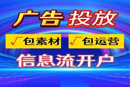SEM推广实战：成功案例解读与策略调整