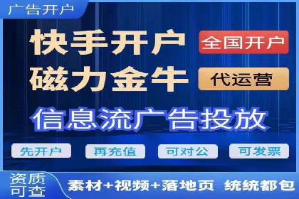 揭秘百度竞价代理：实战案例分析